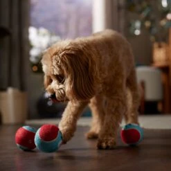 Frisco Holiday Ho Ho Ho Fetch Squeaky Tennis Ball Dog Toy 7 Frisco Holiday Ho Ho Ho Fetch Squeaky Tennis Ball Dog Toy -Frisco 360952 PT3. AC SS1800 V1661874421