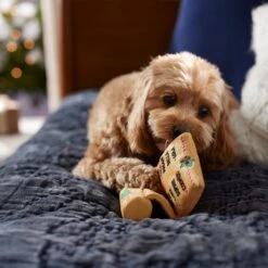 Frisco Holiday Santa's List Plush & TPR Inside Dog Toy -Frisco 360970 PT3. AC SS1800 V1661874421