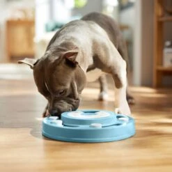 Frisco Two Tier Interactive Puzzle Dog Toy, Easy 12 Frisco Two Tier Interactive Puzzle Dog Toy, Easy -Frisco 506370 PT5. AC SS1800 V1674671566