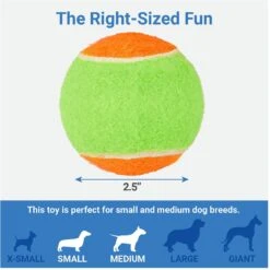 Frisco Dumbbell TPR Fetch Dog Toy + 3 Items 14 Frisco Dumbbell TPR Fetch Dog Toy + 3 Items -Frisco 582446 PT6. AC SS1800 V1658238980