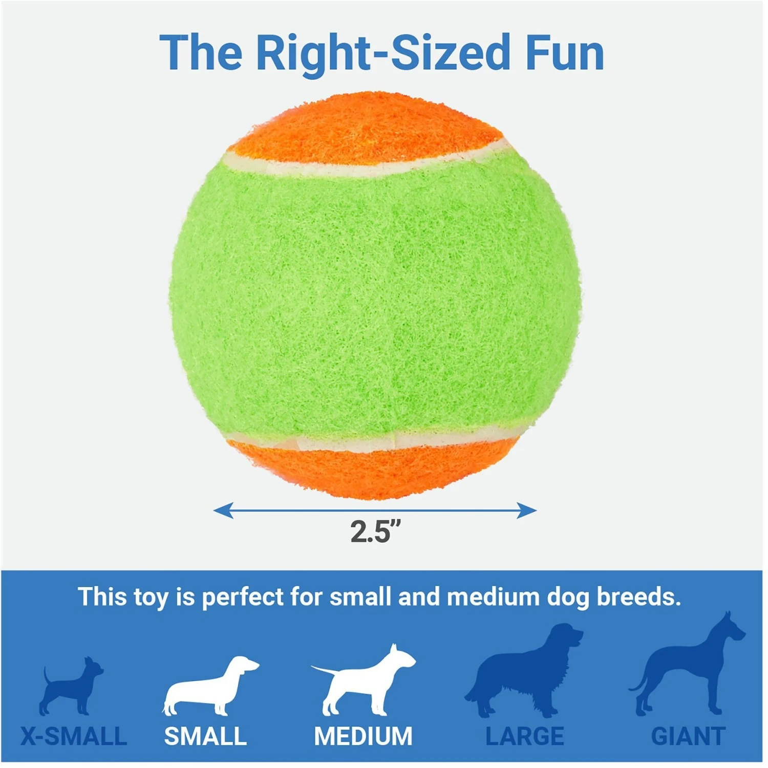 Frisco Dumbbell TPR Fetch Dog Toy + 3 Items 7 Frisco Dumbbell TPR Fetch Dog Toy + 3 Items - Image 7