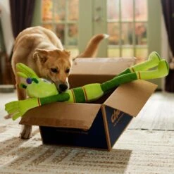 Frisco Halloween Alien Wagazoo Plush Squeaky Dog Toy, Extra Long 8 Frisco Halloween Alien Wagazoo Plush Squeaky Dog Toy, Extra Long -Frisco 668134 PT3. AC SS1800 V1689282428