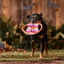 Frisco Halloween Ghost Swirl Fetch Flyer Dog Toy 6 Frisco Halloween Ghost Swirl Fetch Flyer Dog Toy -Frisco 668294 PT3. AC SS1800 V1689278363