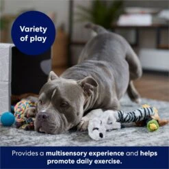 Frisco Forest Friends Plush, Rope & TPR Variety Pack Dog Toy 8 Frisco Forest Friends Plush, Rope & TPR Variety Pack Dog Toy -Frisco 843534 PT3. AC SS1800 V1693411070