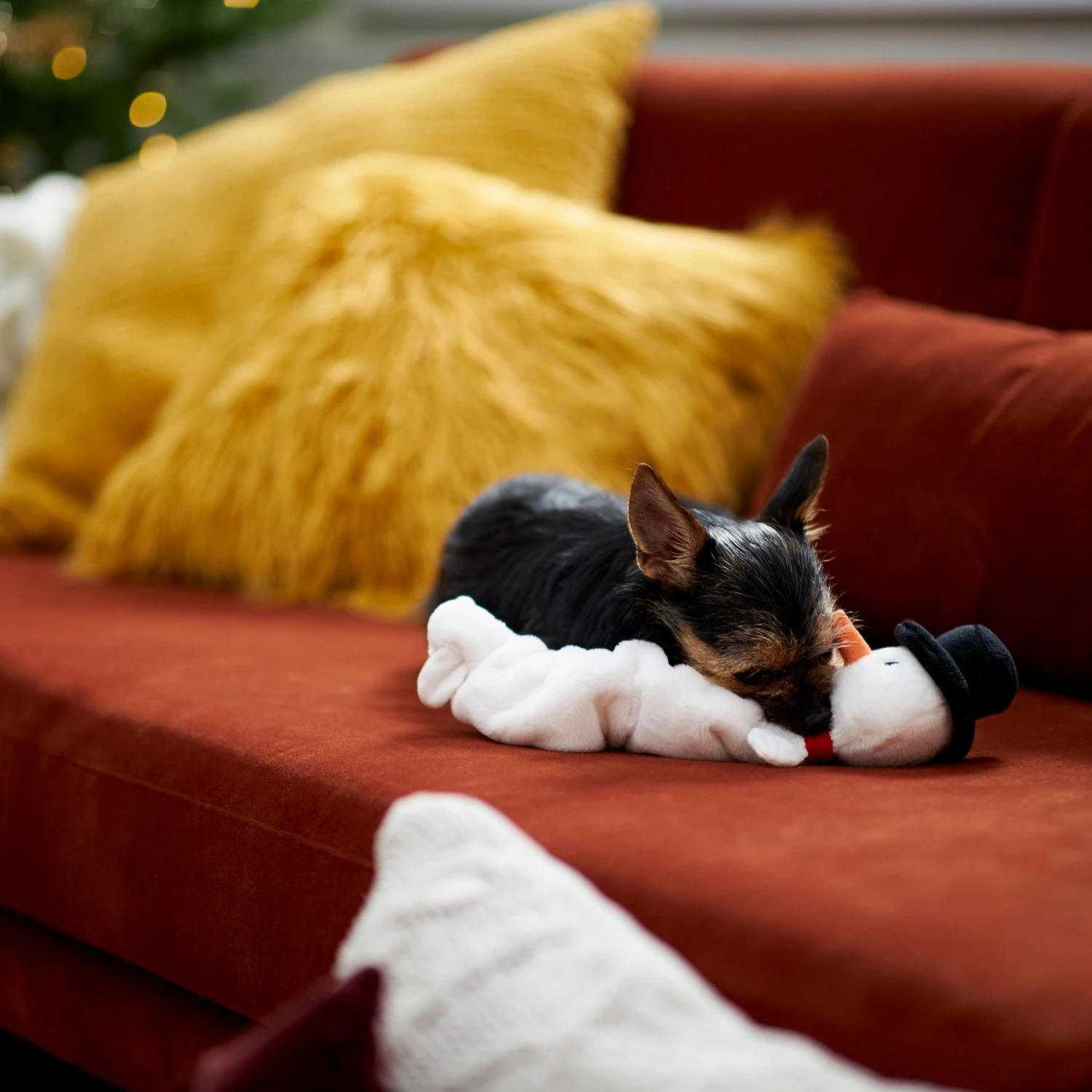 Frisco Holiday Reindeer Bungee Plush Squeaky Dog Toy & Frisco Holiday Snowman Bungee Plush Squeaky Dog Toy 9 Frisco Holiday Reindeer Bungee Plush Squeaky Dog Toy & Frisco Holiday Snowman Bungee Plush Squeaky Dog Toy - Image 9