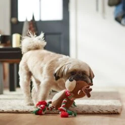 Frisco Holiday Reindeer Plush With Rope Squeaky Dog Toy & Frisco Holiday Lights Plush With Rope Squeaky Dog Toy 12 Frisco Holiday Reindeer Plush With Rope Squeaky Dog Toy & Frisco Holiday Lights Plush With Rope Squeaky Dog Toy -Frisco 986134 PT4. AC SS1800 V1698258055