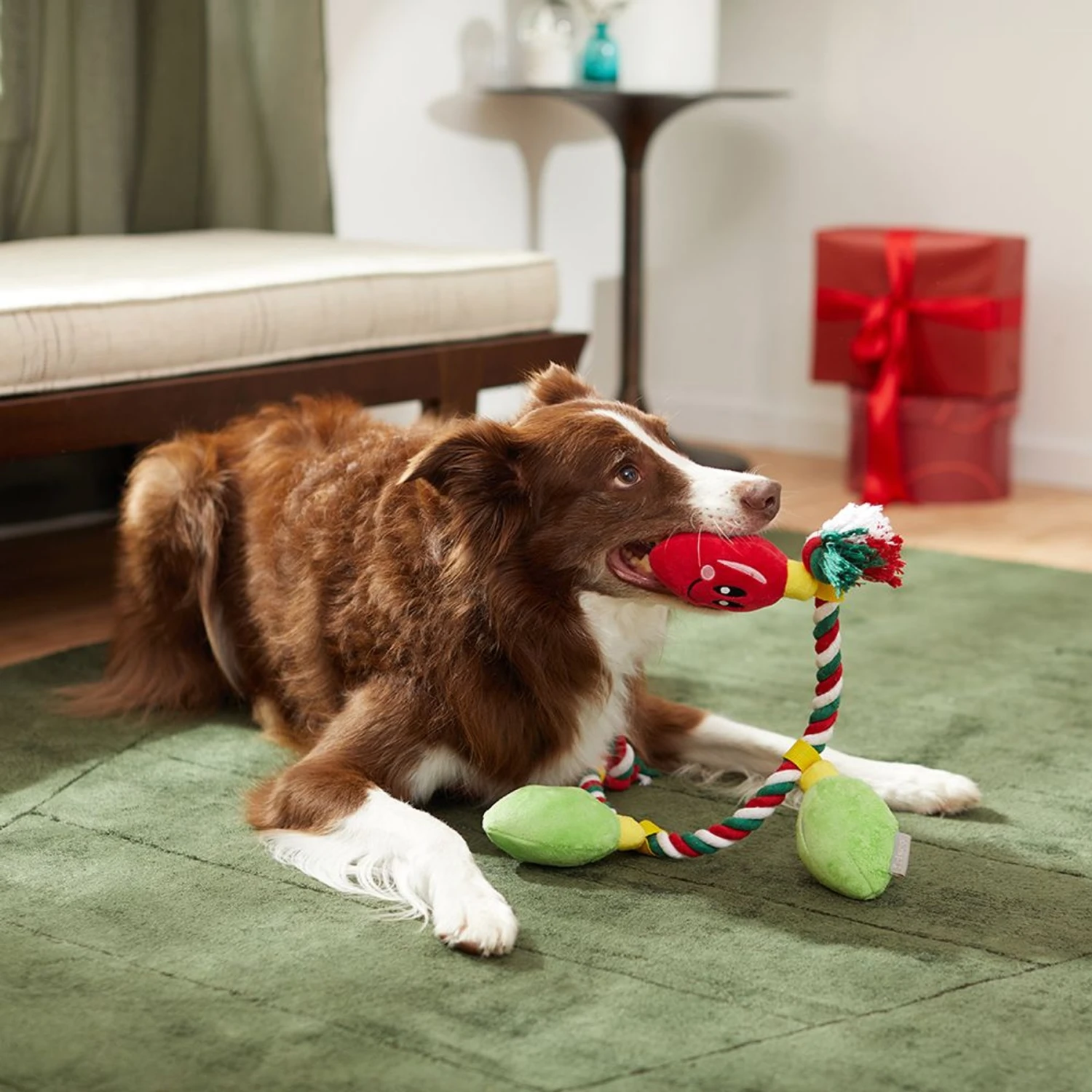 Frisco Holiday Reindeer Plush With Rope Squeaky Dog Toy & Frisco Holiday Lights Plush With Rope Squeaky Dog Toy 8 Frisco Holiday Reindeer Plush With Rope Squeaky Dog Toy & Frisco Holiday Lights Plush With Rope Squeaky Dog Toy - Image 8