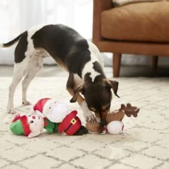 Frisco Holiday Santa's Helpers Plush Squeaky Dog Toy, 3 Count & Frisco Holiday Lights Plush With Rope Squeaky Dog Toy 11 Frisco Holiday Santa's Helpers Plush Squeaky Dog Toy, 3 Count & Frisco Holiday Lights Plush With Rope Squeaky Dog Toy -Frisco 986206 PT4. AC SS1800 V1698257788