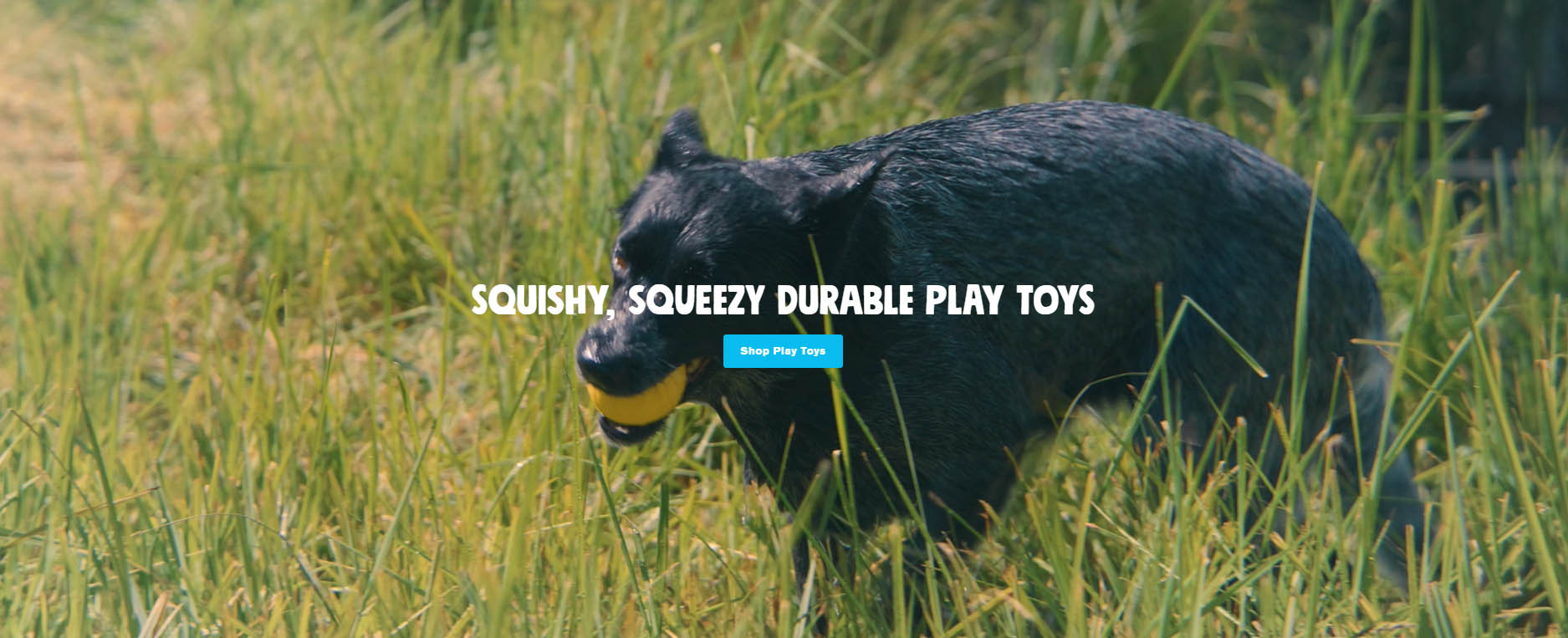 Frisco -Frisco sdfsdfaswd